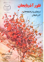 فلور آذربايجان 