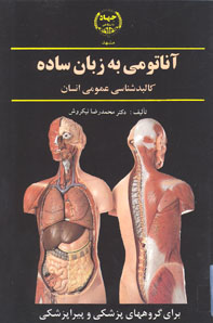 آناتومی به زبان ساده