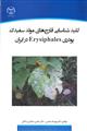 کلید شناسایی قارچ های مولد سفیدک پودریErysiphales در ایران