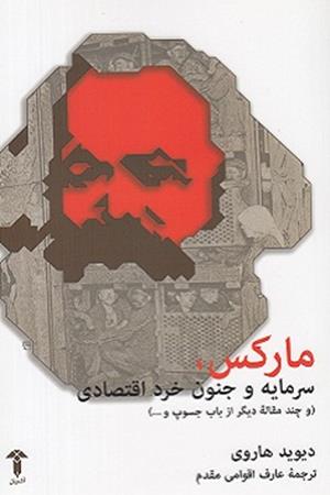مارکس، سرمایه وجنون خرد اقتصادی