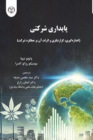 پایداری شرکتی