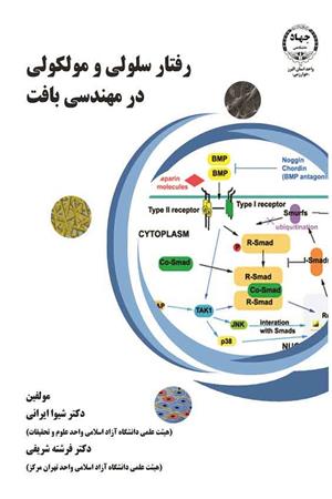 رفتار سلولی ومولکولی در مهندسی بافت