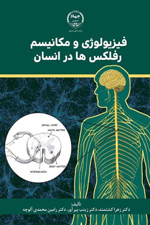 فیزیولوژی و مکانیسم رفلکس‌ها در انسان