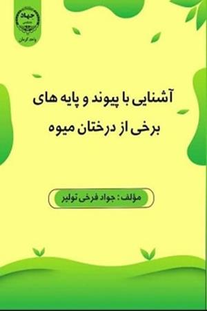 آشنایی با پیوند و پایه های برخی از درختان میوه