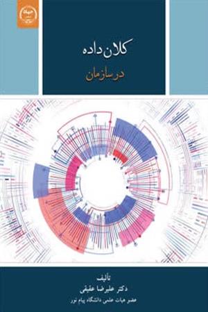 کلان‌داده  در سازمان 