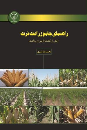 راهنمای جامع زراعت ذرت (پیش از کاشت تا پس از برداشت)