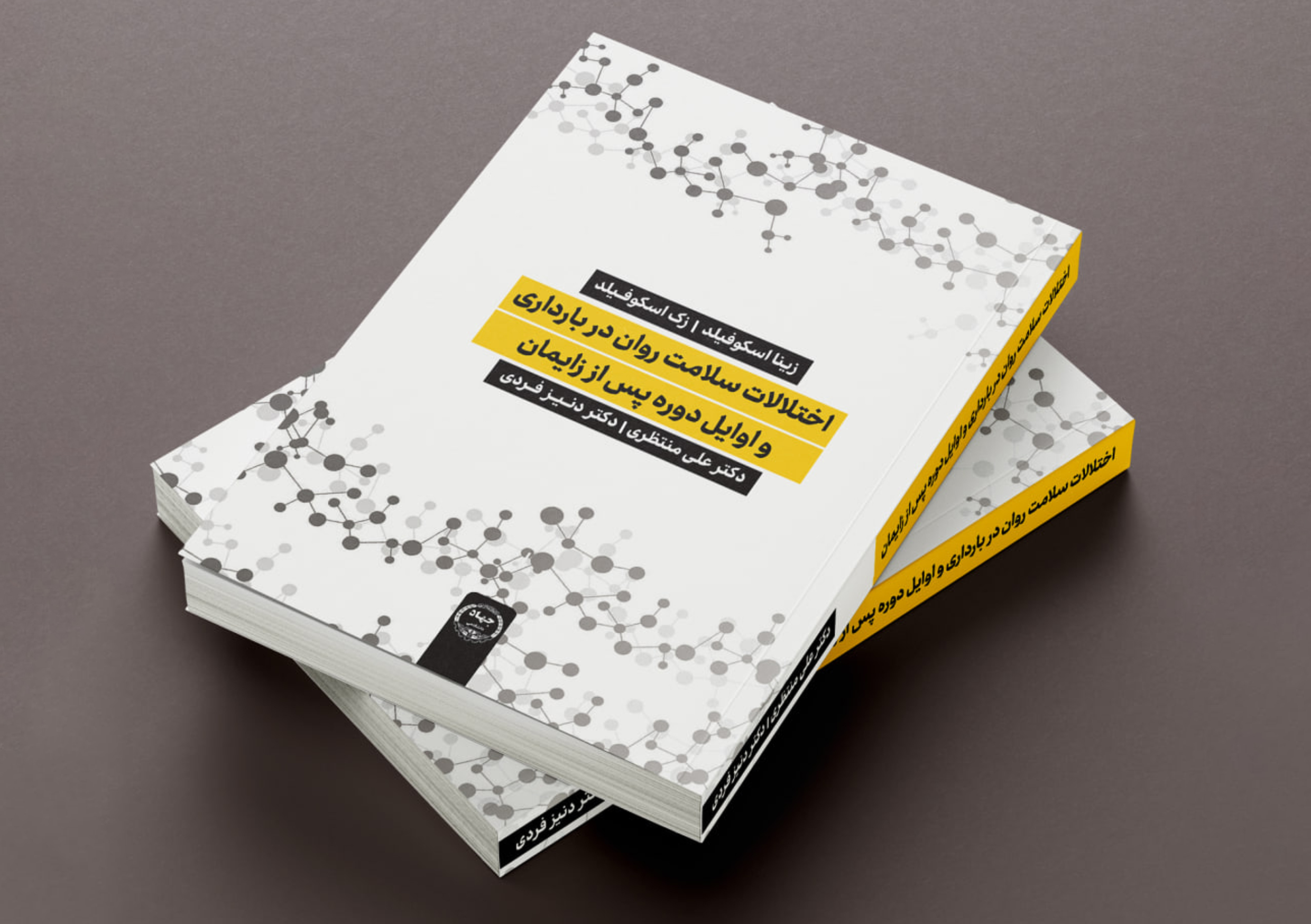 کتاب «اختلالات سلامت روان در بارداری و اوایل دوره پس از زایمان» منتشر شد